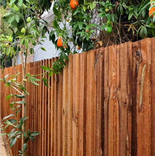 Fencer: Image 1